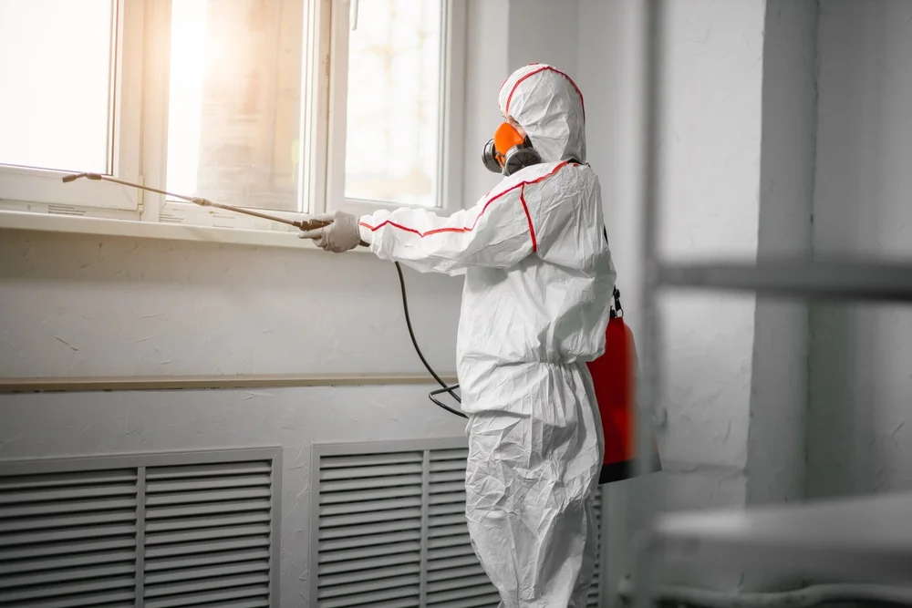 Professional mold remediation services in Waterloo, NE